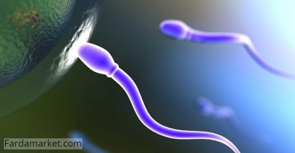 تاثیر سلنیوم بر سلامت و تکامل اسپرم مردان